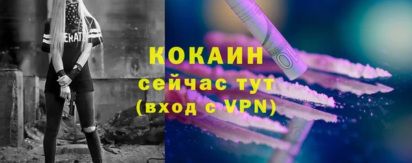 мдпв Новозыбков